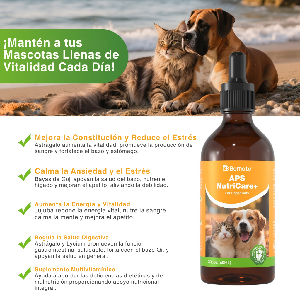 Apoyo Digestivo