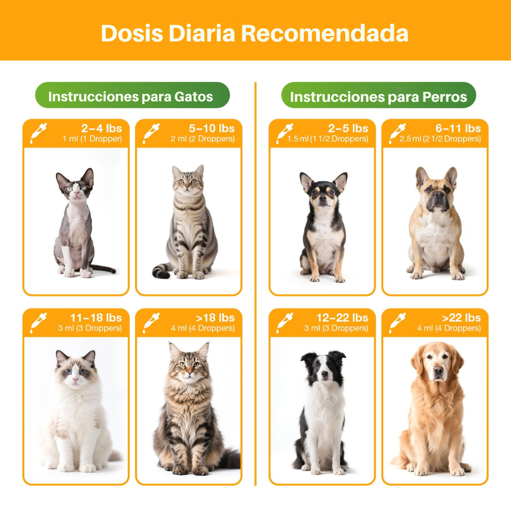 Apoyo Digestivo
