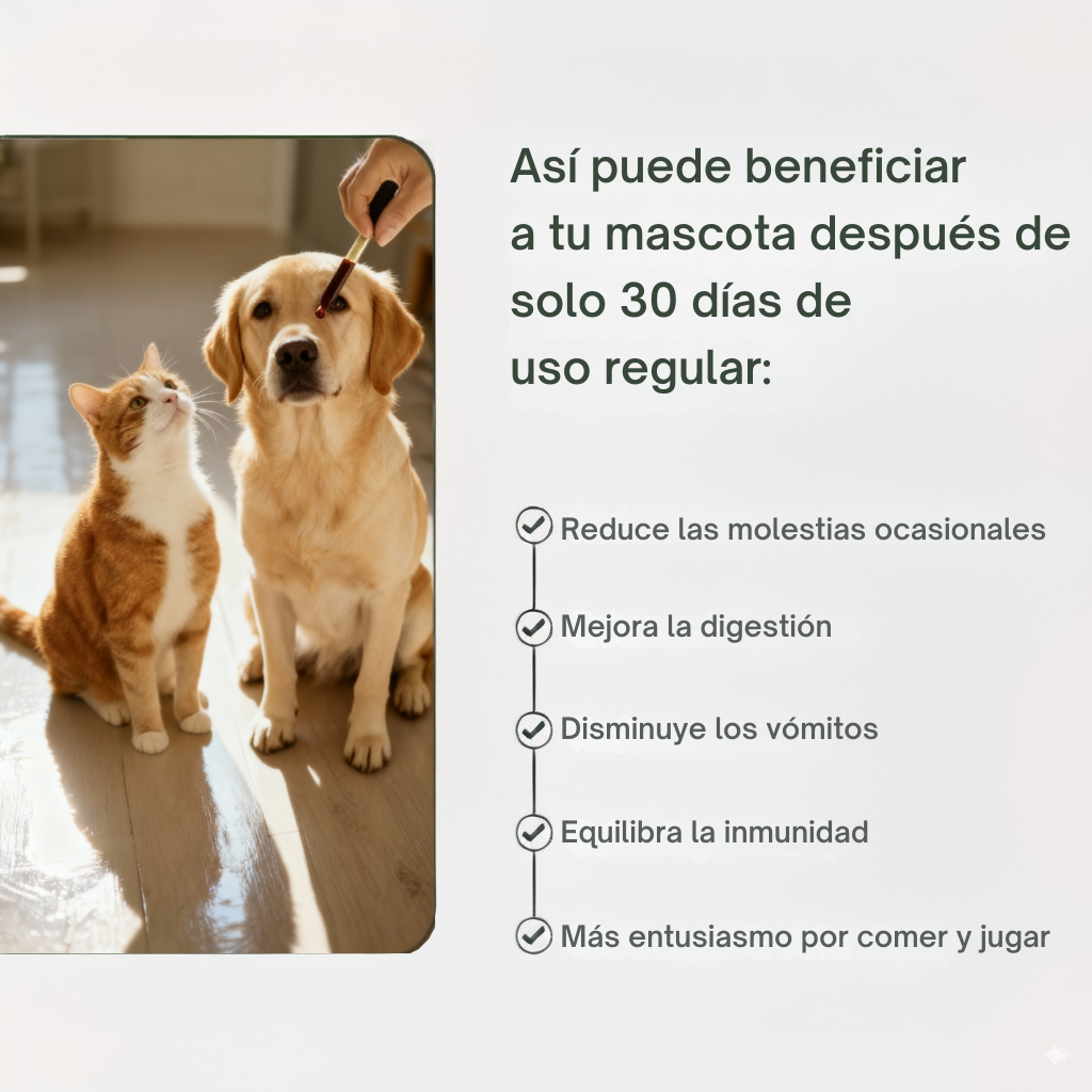Multivitamínico