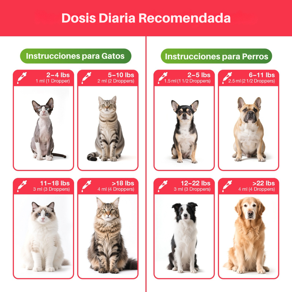 Multivitamínico