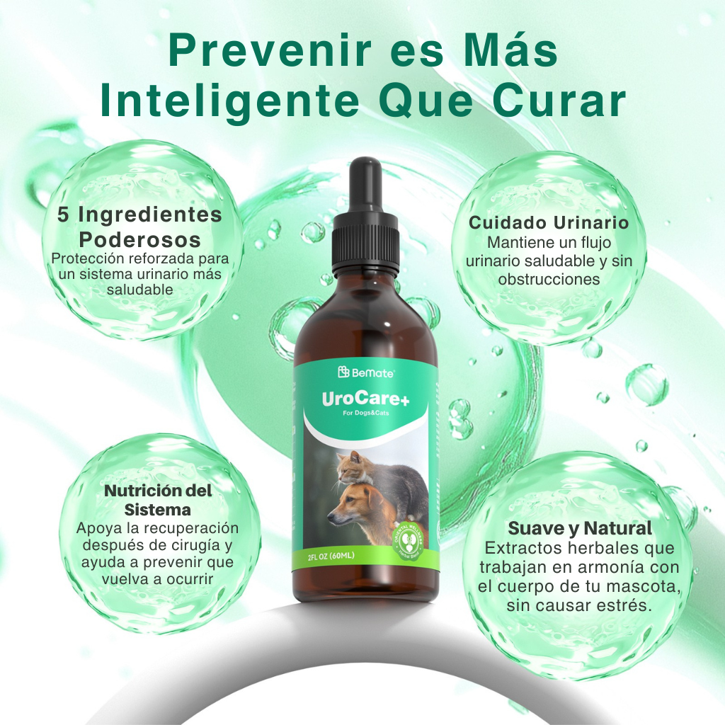 Salud Urinaria