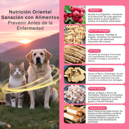 Peso Saludable y Vitalidad