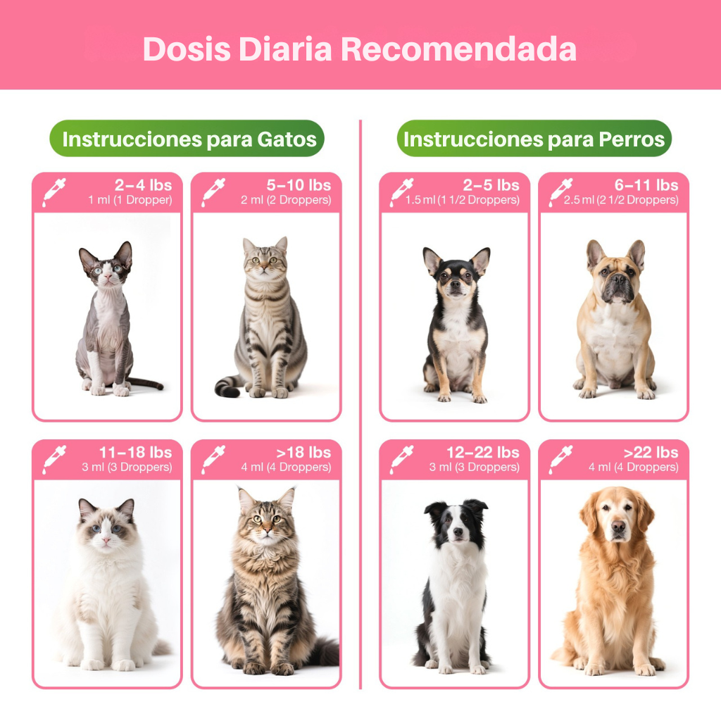 Peso Saludable y Vitalidad